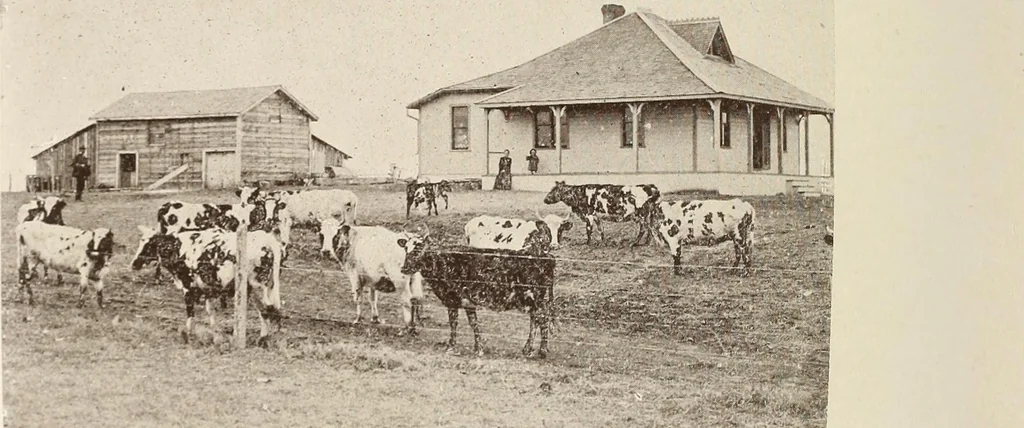 An illustration from A few facts about the city of Saskatoon : something of its past, present and prospects for the future, a city of opportunities. A railway centre. The hub of the great hard wheat area of Central Saskatchewan, 1907, leaf 14