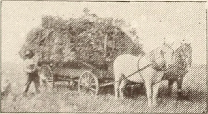 An illustration from A few facts about the city of Saskatoon : something of its past, present and prospects for the future, a city of opportunities. A railway centre. The hub of the great hard wheat area of Central Saskatchewan, 1907, leaf 14