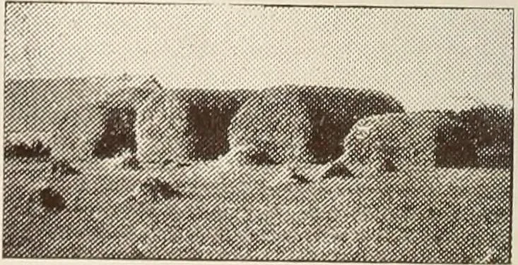 An illustration from A few facts about the city of Saskatoon : something of its past, present and prospects for the future, a city of opportunities. A railway centre. The hub of the great hard wheat area of Central Saskatchewan, 1907, leaf 14