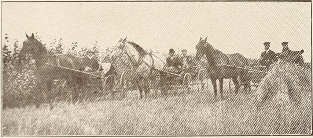 An illustration from A few facts about the city of Saskatoon : something of its past, present and prospects for the future, a city of opportunities. A railway centre. The hub of the great hard wheat area of Central Saskatchewan, 1907, leaf 20