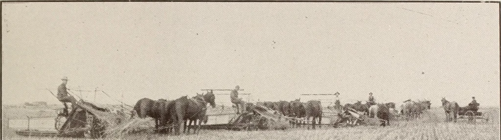 An illustration from A few facts about the city of Saskatoon : something of its past, present and prospects for the future, a city of opportunities. A railway centre. The hub of the great hard wheat area of Central Saskatchewan, 1907, leaf 31