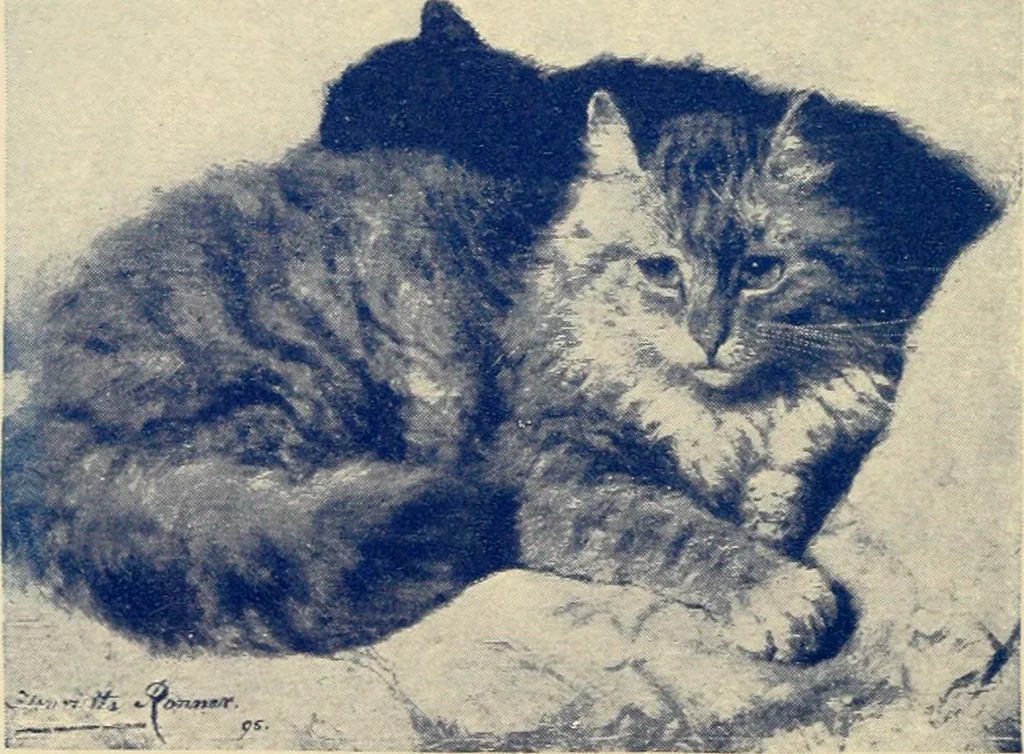 An illustration from A few of the features which will make coming issues of the Ladies' Home Journal the best ever presented, 1899, leaf 10