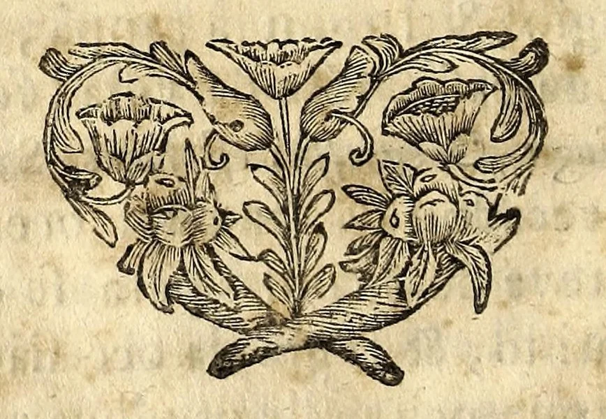 An illustration from Feyra mystica de Lisboa, : armada em hu[m]a trezena do divino portuguez Santo Antonio,, 1691, leaf 136