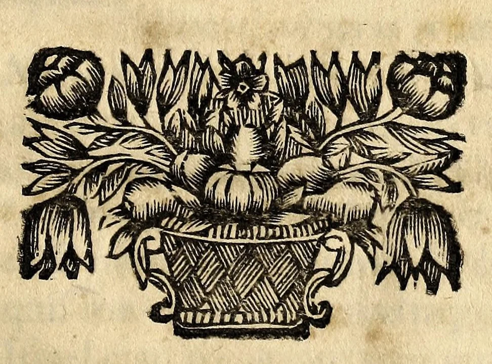 An illustration from Feyra mystica de Lisboa, : armada em hu[m]a trezena do divino portuguez Santo Antonio,, 1691, leaf 43