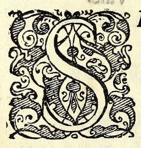 An illustration from F. Hieronymi Marafioti polistinensis ... De arte reminiscentiae per loca & imagines, ac per notas & figuras in manibus positas : opus delectabile, omnibusque literarum studiosis & praecipuè oratoribus, concionatoribus & scolaribus, qui ad doctoratus apicem ascendere satagunt apprime vtile .., 1602, leaf 16