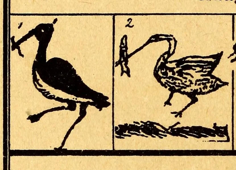An illustration from Führer für sammler von Porzellan und Fayence, Steinzeug, Steingut usw : Vollständiges Verzeichnis der auf älterem Porzellan, Fayence, Steingut usw. befindlichen Marken, 1919, leaf 236