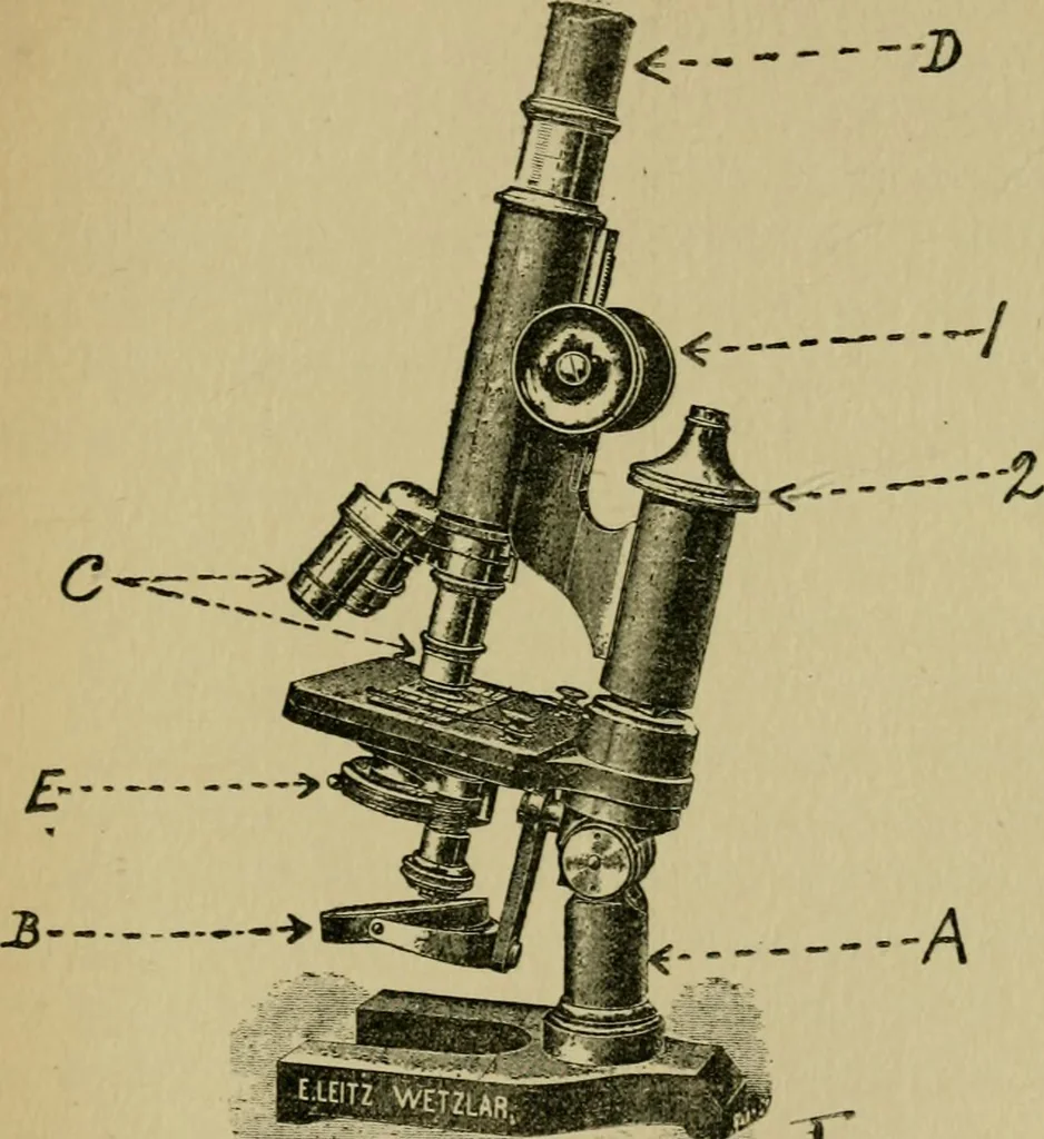 An illustration from Fibres for fabrics, 1908, leaf 155