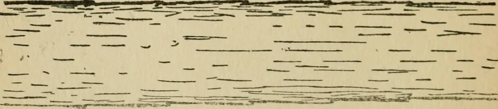 An illustration from Fibres for fabrics, 1908, leaf 172