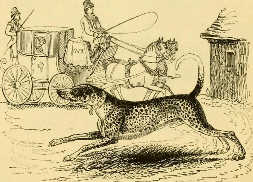 An illustration from The field book : or, Sports and pastimes of the United kingdom ; compiled from the best authorities, ancient and modern, 1833, leaf 164