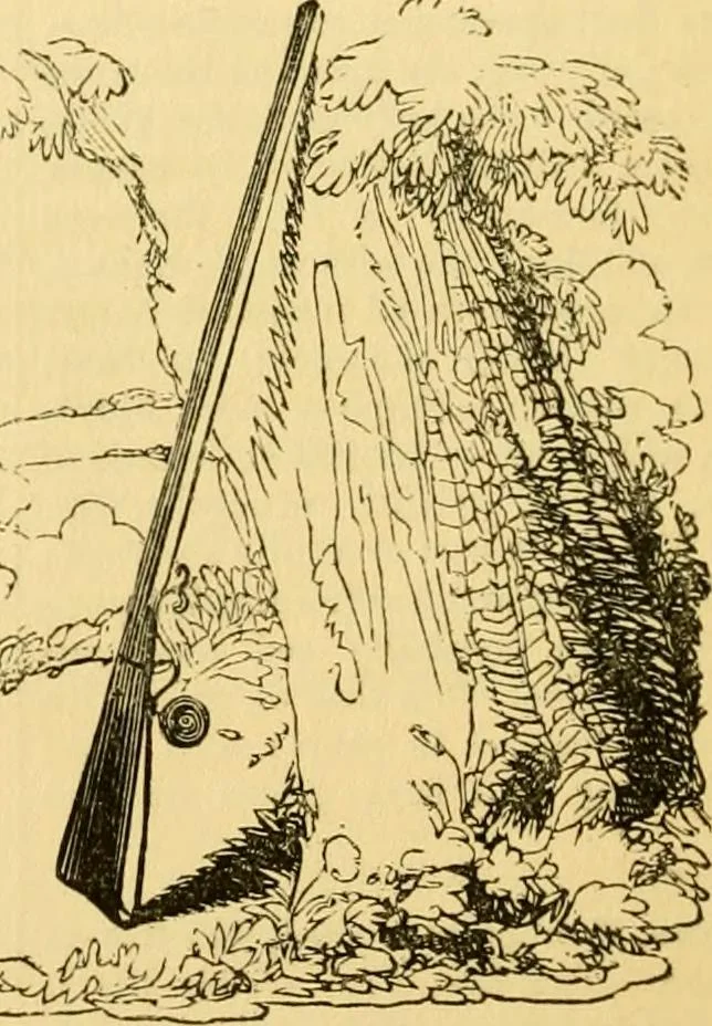 An illustration from The field book : or, Sports and pastimes of the United kingdom ; compiled from the best authorities, ancient and modern, 1833, leaf 20