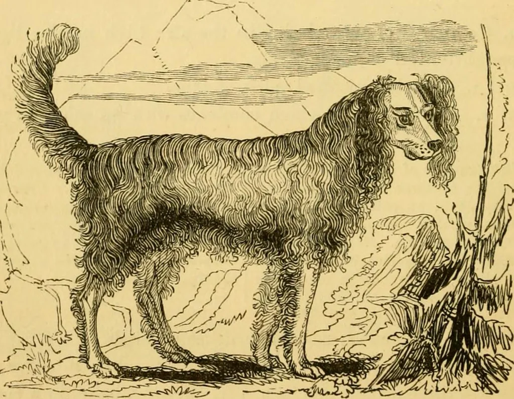 An illustration from The field book : or, Sports and pastimes of the United kingdom ; compiled from the best authorities, ancient and modern, 1833, leaf 22