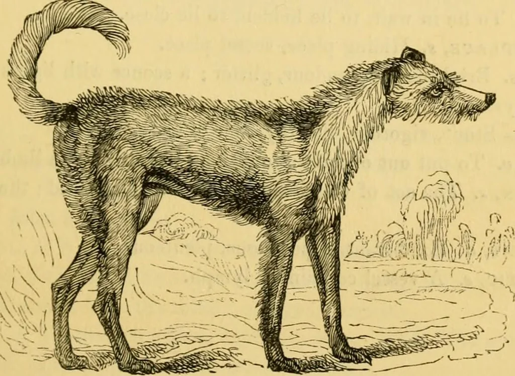 An illustration from The field book : or, Sports and pastimes of the United kingdom ; compiled from the best authorities, ancient and modern, 1833, leaf 341