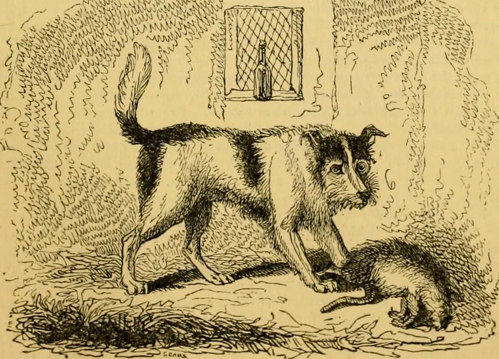 An illustration from The field book : or, Sports and pastimes of the United kingdom ; compiled from the best authorities, ancient and modern, 1833, leaf 549