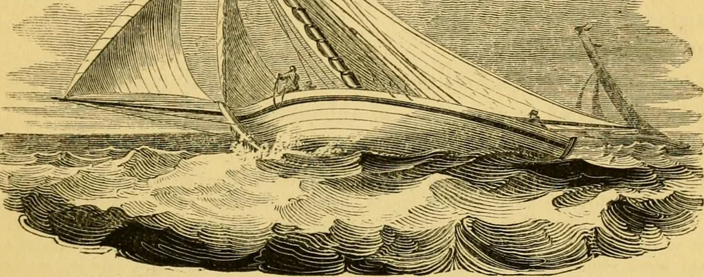 An illustration from The field book : or, Sports and pastimes of the United kingdom ; compiled from the best authorities, ancient and modern, 1833, leaf 551