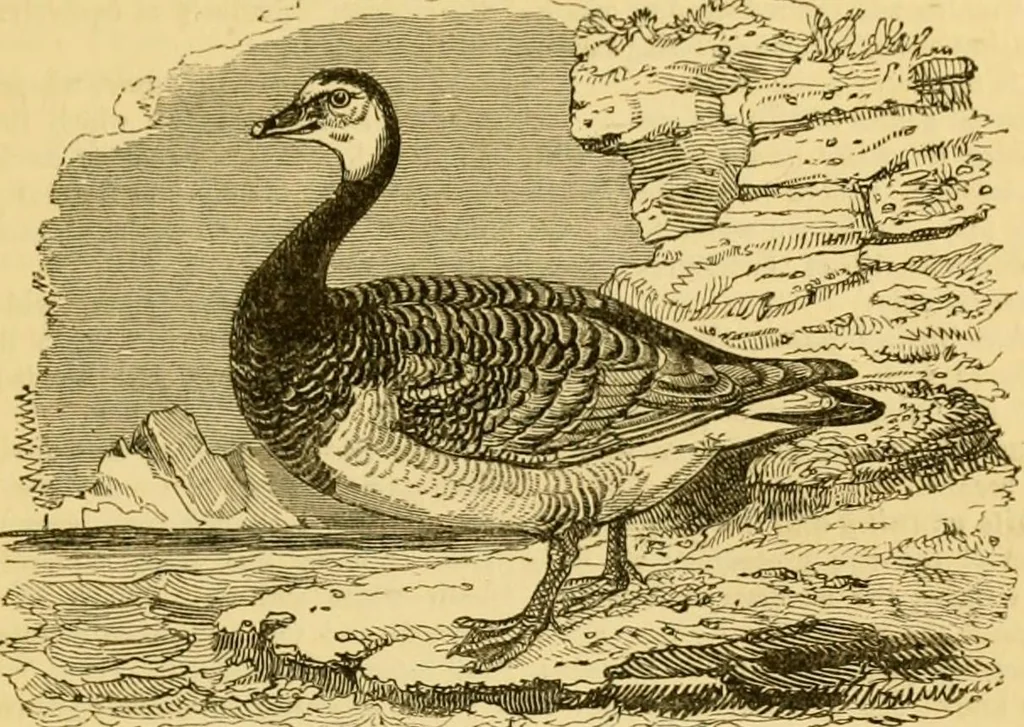 An illustration from The field book : or, Sports and pastimes of the United kingdom ; compiled from the best authorities, ancient and modern, 1833, leaf 59