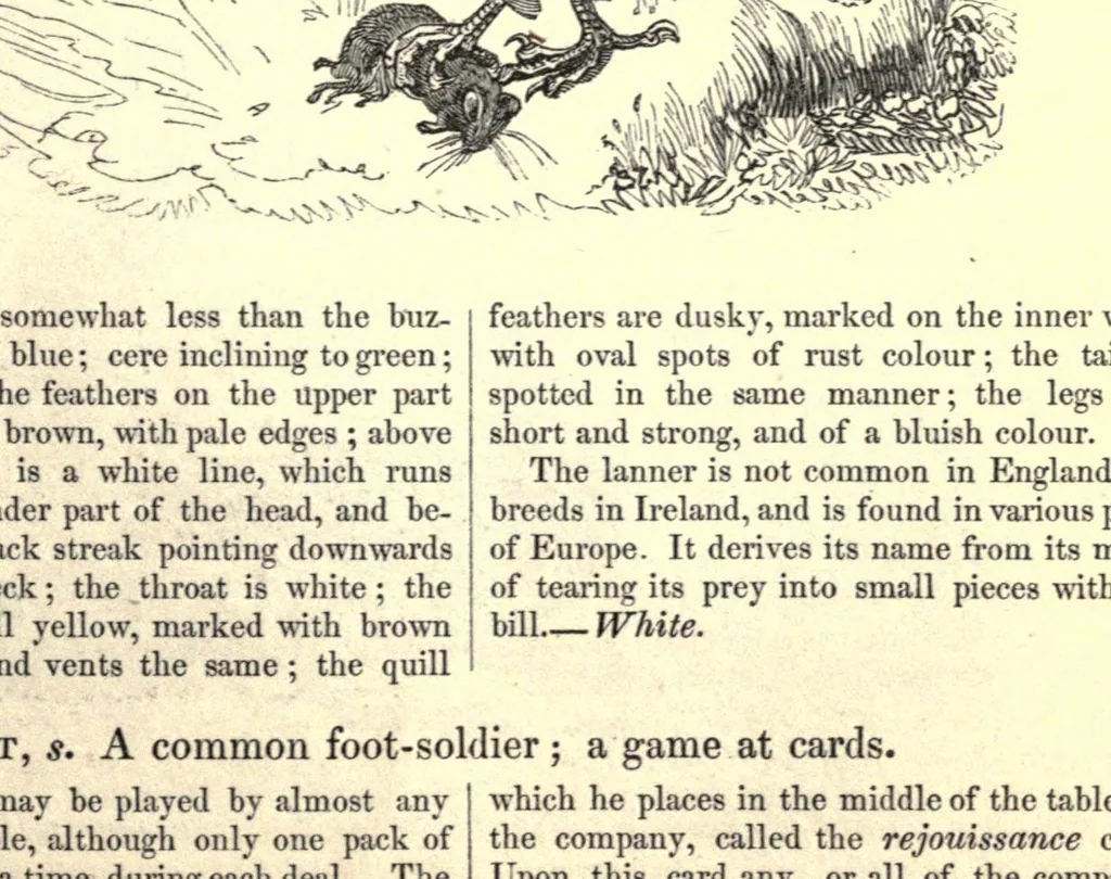 An illustration from The field book; or, Sports and pastimes of the United kingdom; comp. from the best authorities, ancient and modern, 1833, leaf 329