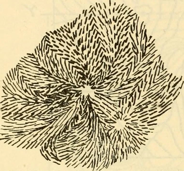An illustration from Field operations and elementary motor vehicle engineering lectures, 1919, leaf 68