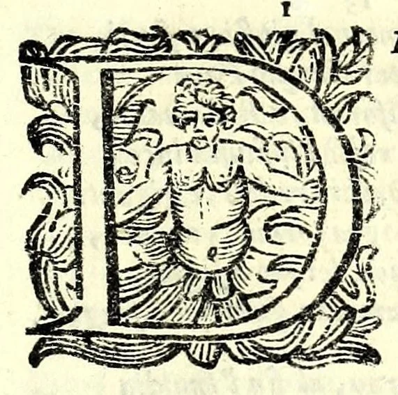 An illustration from Fiesole distrutta, 1621, leaf 11