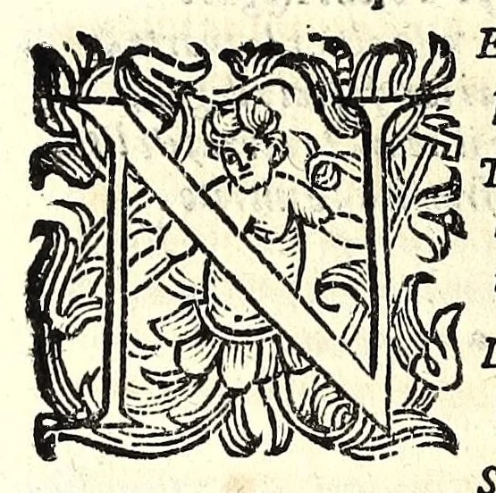 An illustration from Fiesole distrutta, 1621, leaf 110