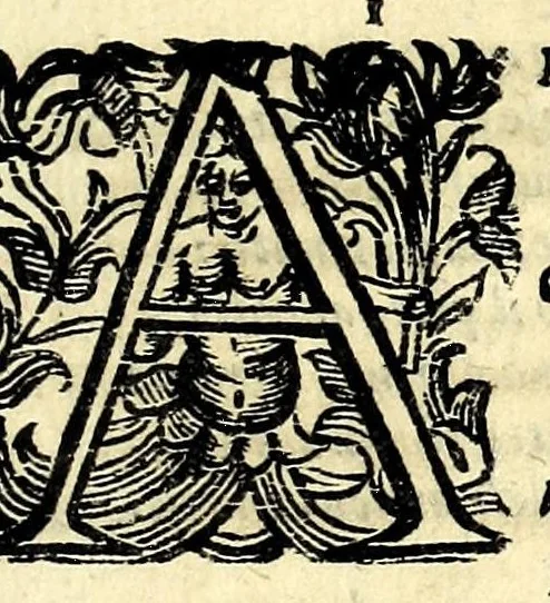 An illustration from Fiesole distrutta, 1621, leaf 121