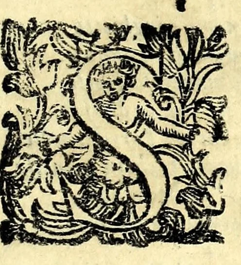 An illustration from Fiesole distrutta, 1621, leaf 149