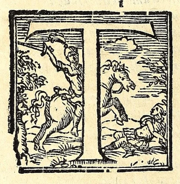 An illustration from Fiesole distrutta, 1621, leaf 164