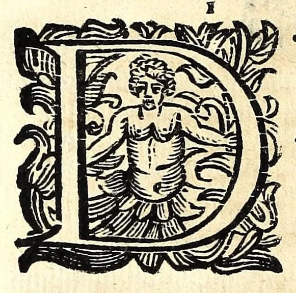 An illustration from Fiesole distrutta, 1621, leaf 76