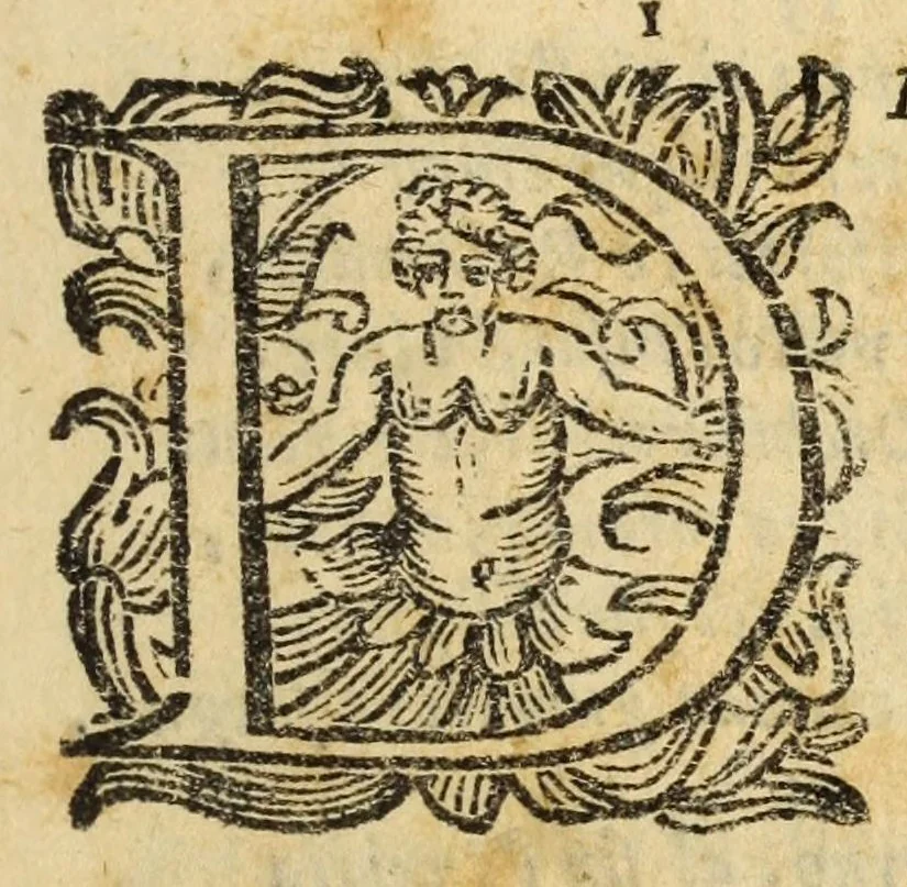 An illustration from Fiesole distrvtta, 1621, leaf 11