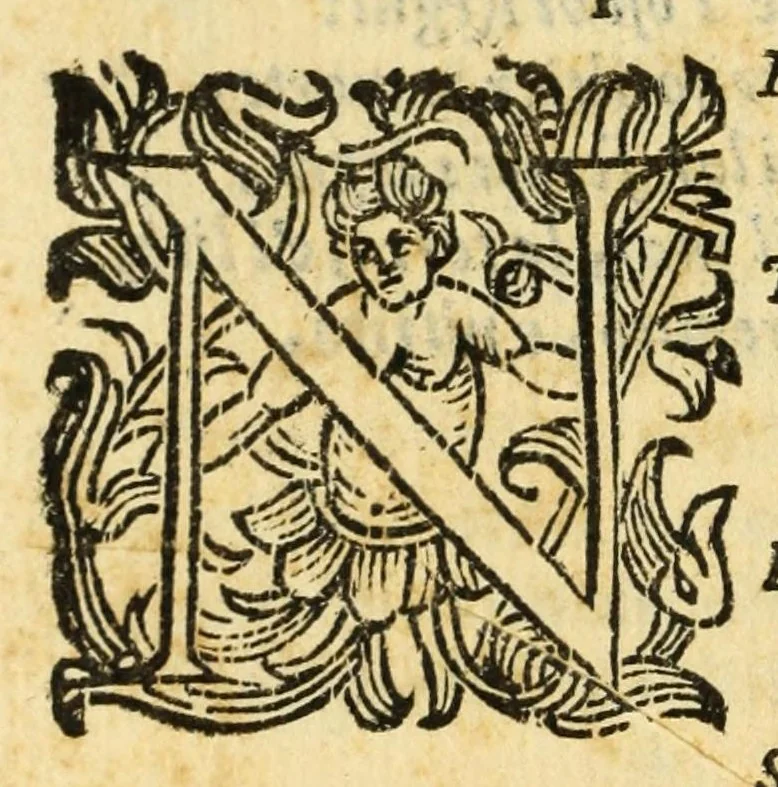 An illustration from Fiesole distrvtta, 1621, leaf 110
