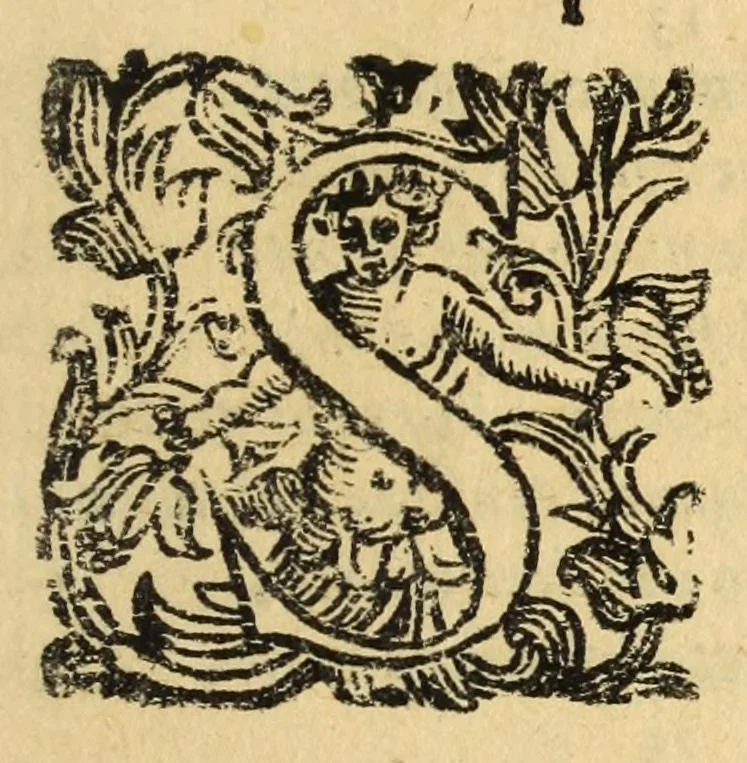 An illustration from Fiesole distrvtta, 1621, leaf 149