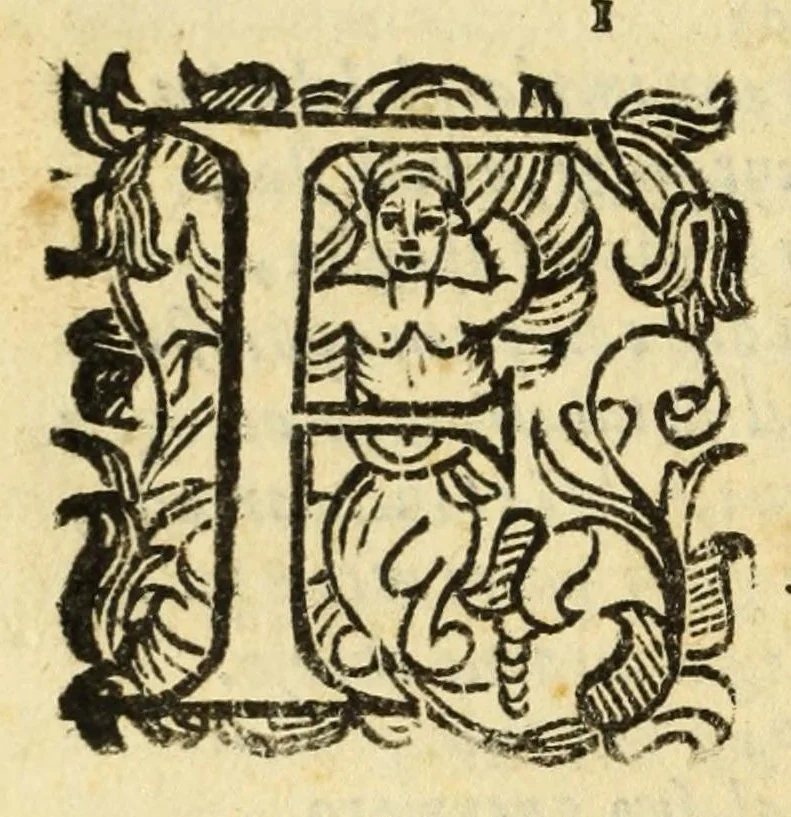 An illustration from Fiesole distrvtta, 1621, leaf 156