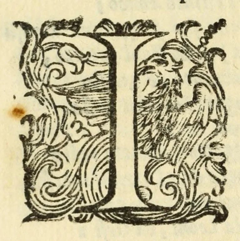 An illustration from Fiesole distrvtta, 1621, leaf 174