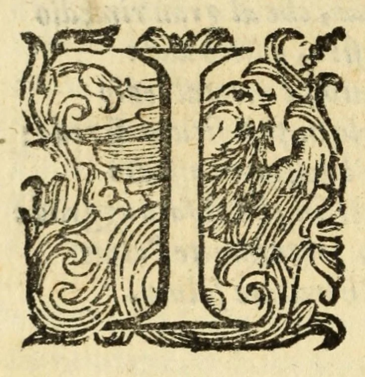 An illustration from Fiesole distrvtta, 1621, leaf 56
