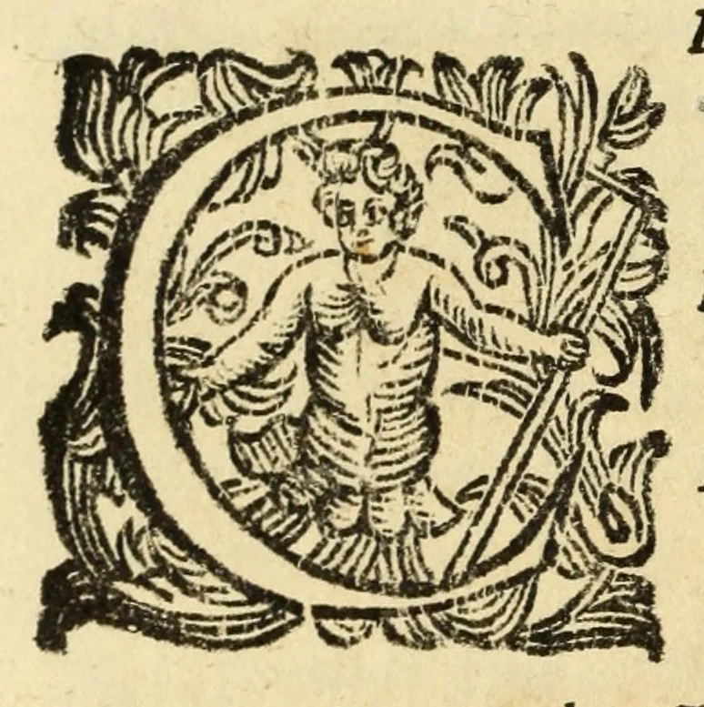 An illustration from Fiesole distrvtta, 1621, leaf 66