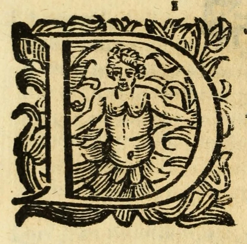 An illustration from Fiesole distrvtta, 1621, leaf 76