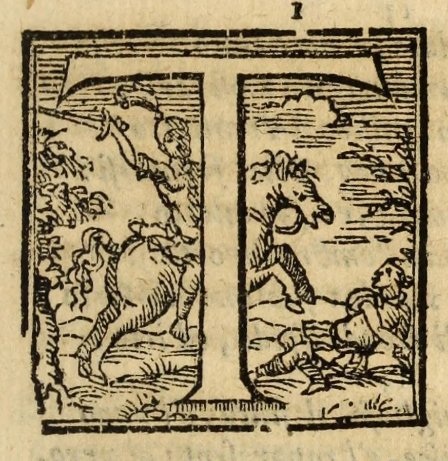 An illustration from Fiesole distrvtta, 1621, leaf 97