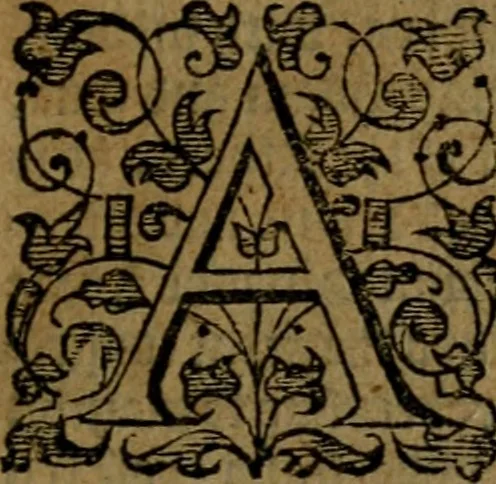 An illustration from Fiftie godlie and learned sermons, divided into five decades : containing the chiefe and principall points of Christian religion, written in three seuerall tomes or sections,, 1587, leaf 20