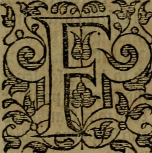 An illustration from Fiftie godlie and learned sermons, divided into five decades : containing the chiefe and principall points of Christian religion, written in three seuerall tomes or sections,, 1587, leaf 278