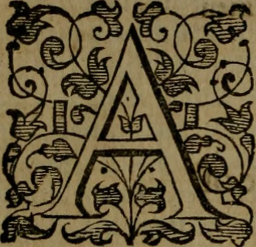 An illustration from Fiftie godlie and learned sermons, divided into five decades : containing the chiefe and principall points of Christian religion, written in three seuerall tomes or sections,, 1587, leaf 543
