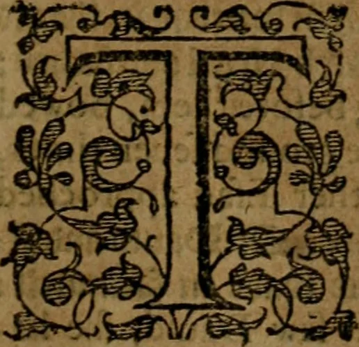 An illustration from Fiftie godlie and learned sermons, divided into five decades : containing the chiefe and principall points of Christian religion, written in three seuerall tomes or sections,, 1587, leaf 666