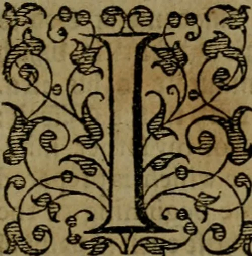 An illustration from Fiftie godlie and learned sermons, divided into five decades : containing the chiefe and principall points of Christian religion, written in three seuerall tomes or sections,, 1587, leaf 716