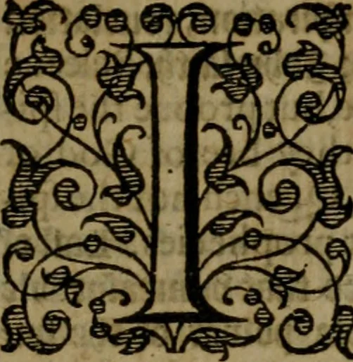 An illustration from Fiftie godlie and learned sermons, divided into five decades : containing the chiefe and principall points of Christian religion, written in three seuerall tomes or sections,, 1587, leaf 732