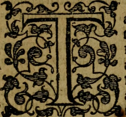 An illustration from Fiftie godlie and learned sermons, divided into five decades : containing the chiefe and principall points of Christian religion, written in three seuerall tomes or sections,, 1587, leaf 802