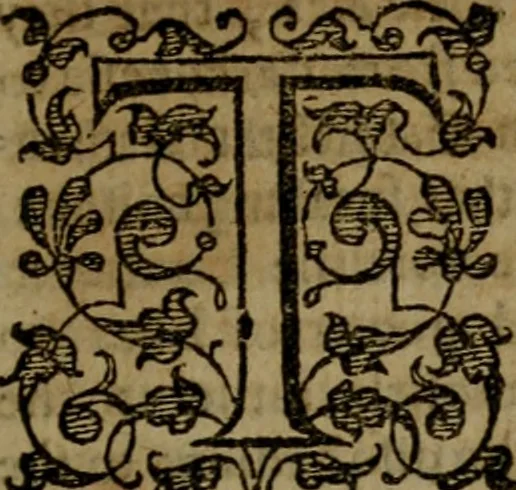 An illustration from Fiftie godlie and learned sermons, divided into five decades : containing the chiefe and principall points of Christian religion, written in three seuerall tomes or sections,, 1587, leaf 860