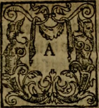 An illustration from Fiftie godlie and learned sermons, divided into five decades : containing the chiefe and principall points of Christian religion, written in three seuerall tomes or sections,, 1587, leaf 904
