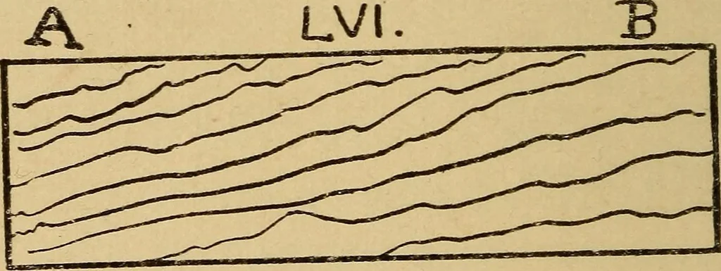 An illustration from Fifty lessons in wood working, 1892, leaf 101