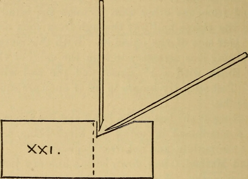An illustration from Fifty lessons in wood working, 1892, leaf 41