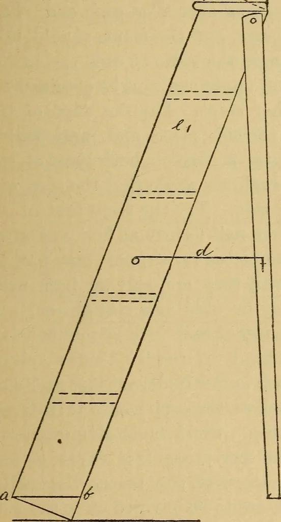 An illustration from Fifty lessons in wood working, 1892, leaf 70