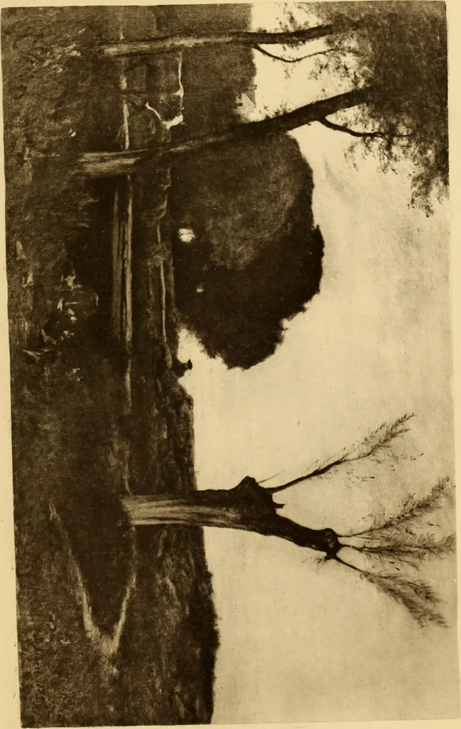 An illustration from Fifty paintings by George Inness, 1913, leaf 46
