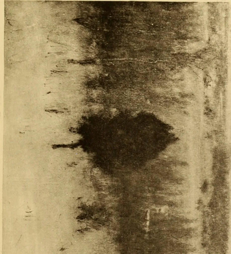An illustration from Fifty paintings by George Inness, 1913, leaf 66